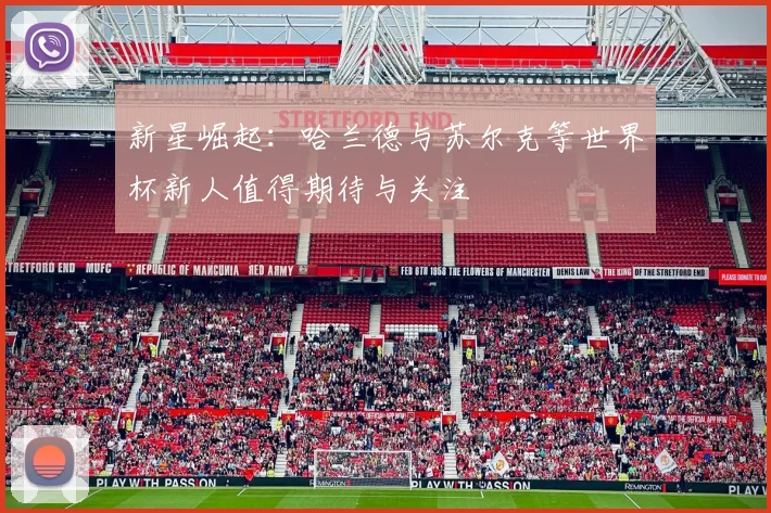 新星崛起：哈兰德与苏尔克等世界杯新人值得期待与关注