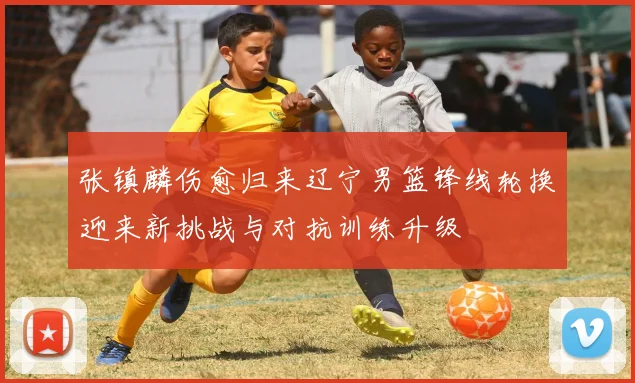 张镇麟伤愈归来辽宁男篮锋线轮换迎来新挑战与对抗训练升级